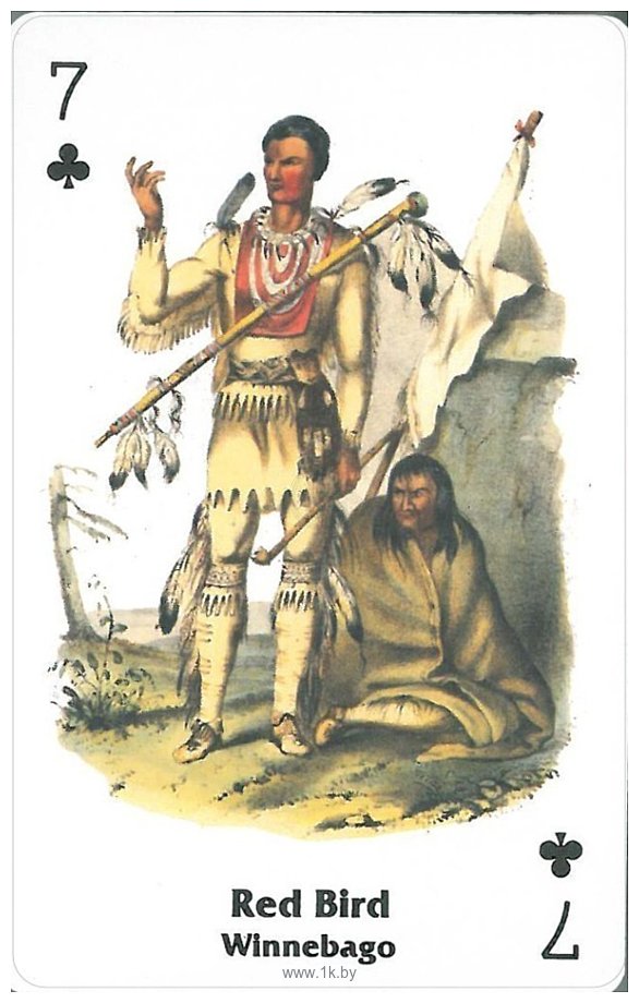 Фотографии US Games Systems Native American Playing Cards NAT552