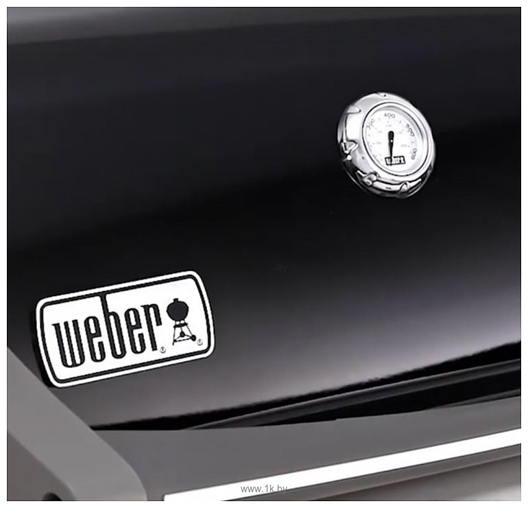 Фотографии Weber Spirit E-320 Original GBS