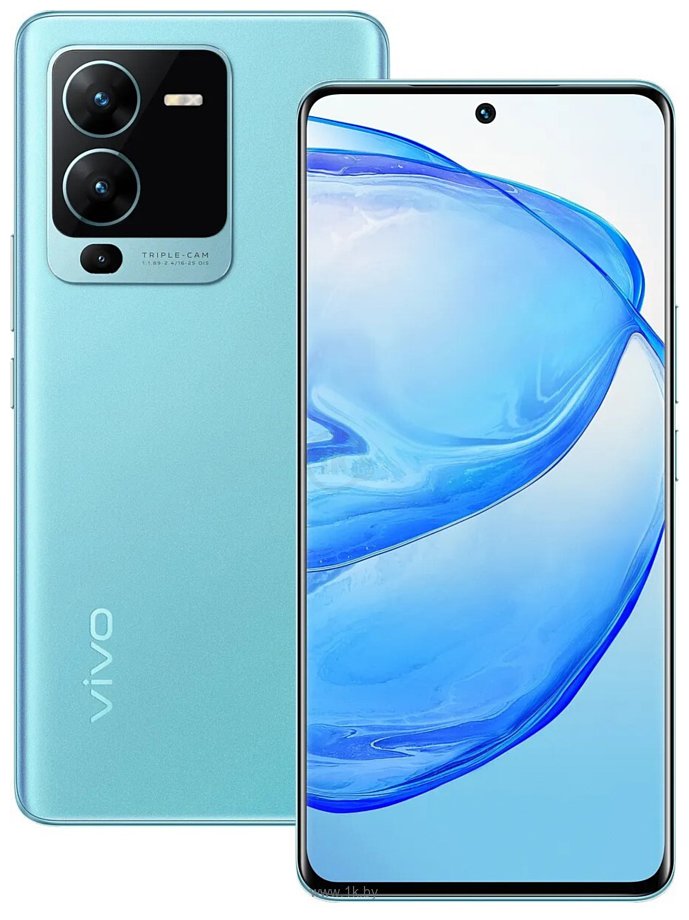 Фотографии Vivo V25 Pro 12/256GB