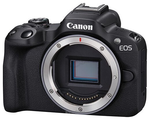 Фотографии Canon EOS R50 Body