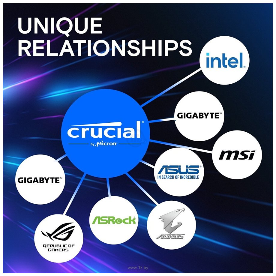 Фотографии Crucial Pro CP24G60C48U5