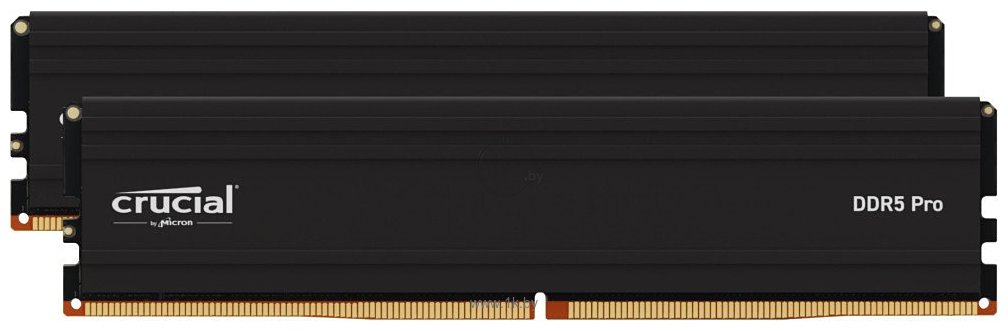 Фотографии Crucial Pro CP24G60C48U5