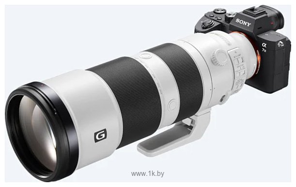 Фотографии Sony FE 200–600mm f/5.6–6.3G OSS (SEL-200600G)