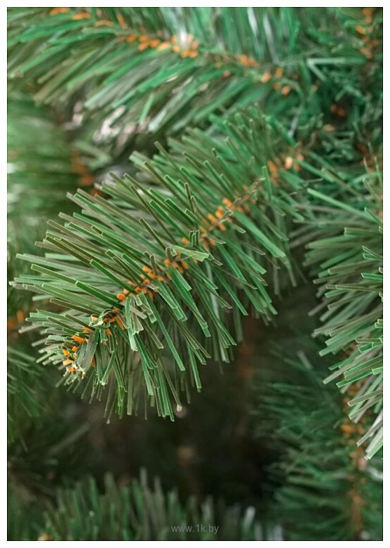 Фотографии Holiday Trees Европейская 3 м