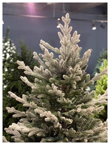 Фотографии Albero Di Natale Tiana на пне 1.5 м