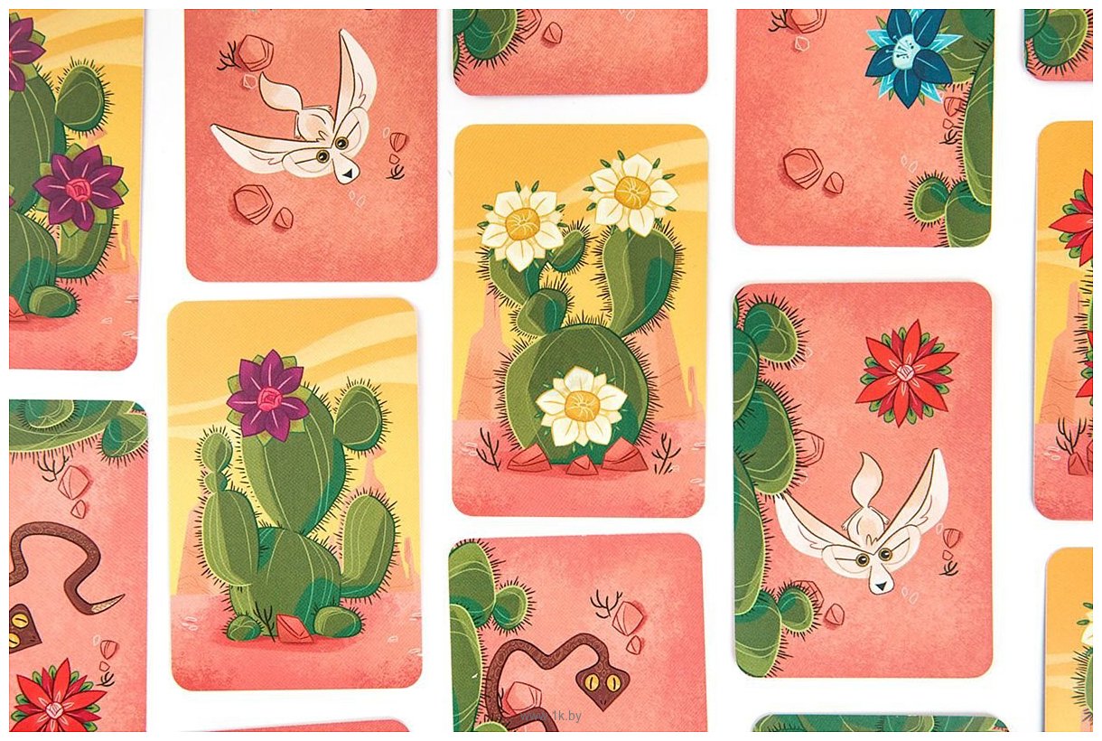 Фотографии Эврикус Ой, колючки!