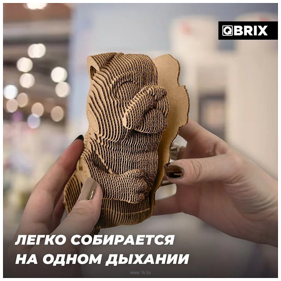 Фотографии QBRIX Протестный Гав 3D 20045