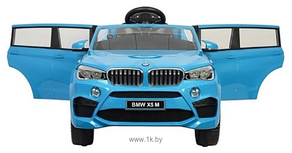 Фотографии Chi Lok Bo BMW X5М (голубой)