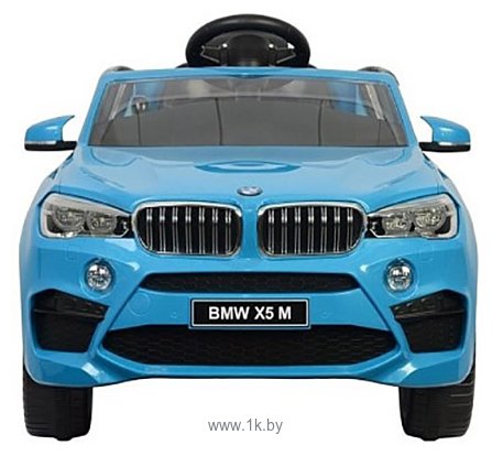 Фотографии Chi Lok Bo BMW X5М (голубой)