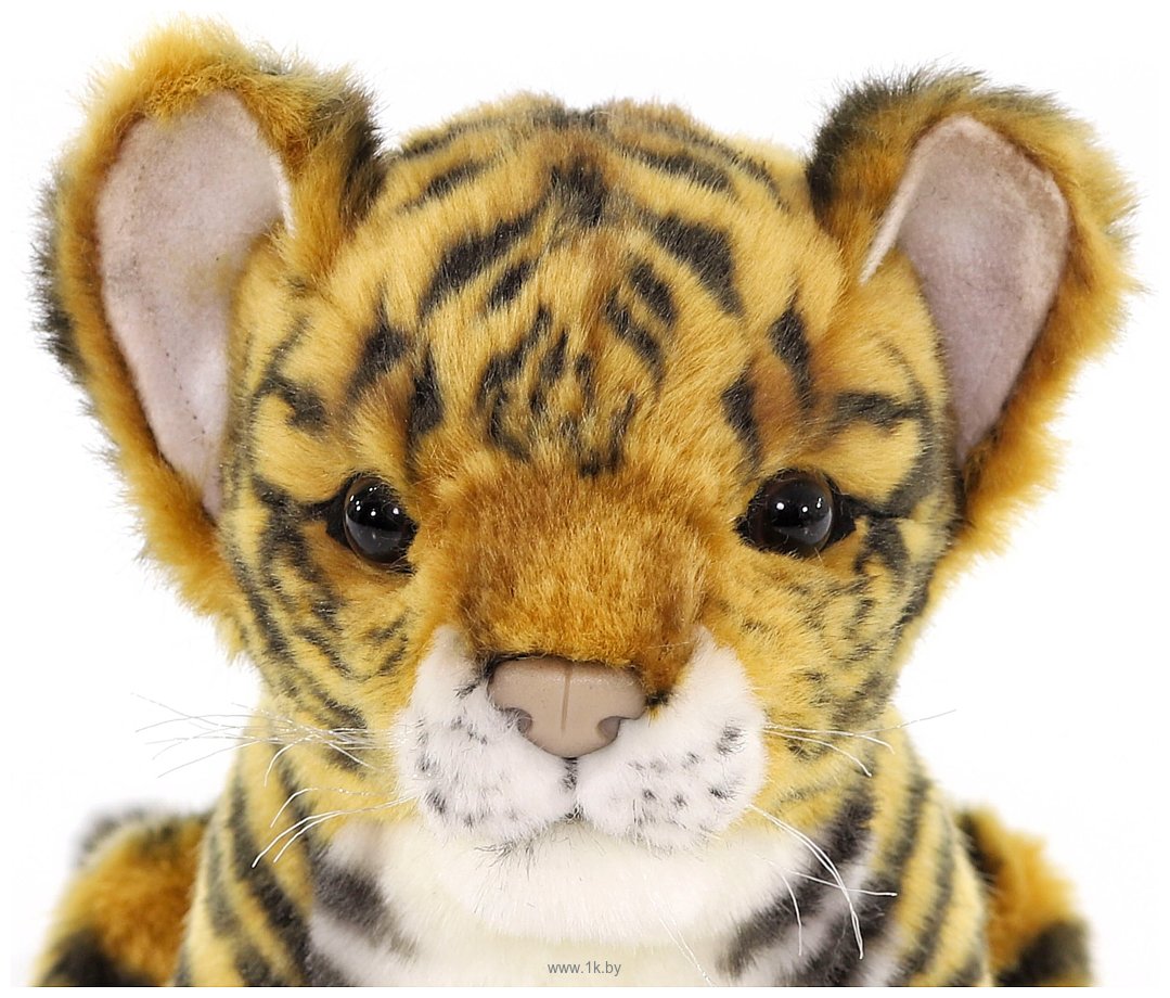 Фотографии Hansa Сreation Тигр детеныш 7280 (17 см)