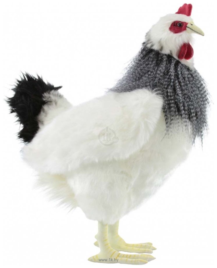 Фотографии Hansa Сreation Курица французской породы 5034 (38 см)
