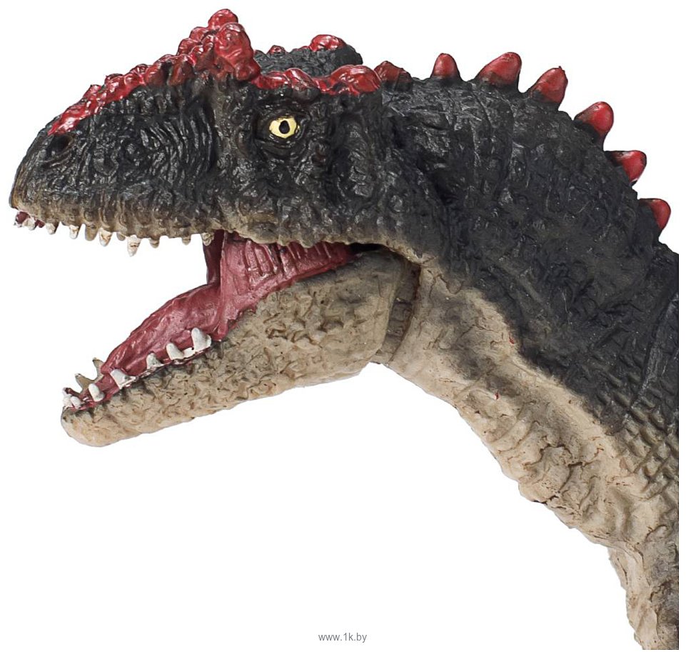 Фотографии Konik Аллозавр с подвижной челюстью AMD4038