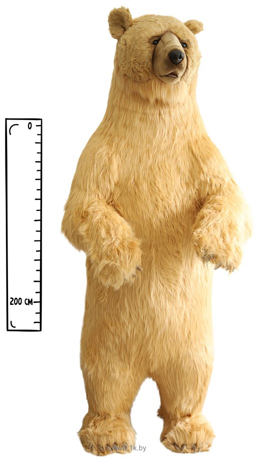 Фотографии Hansa Сreation Сибирский медведь 6161 (200 см)