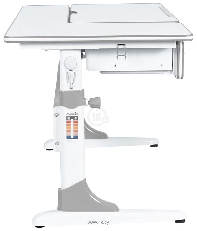 Фотографии Anatomica Study-120 парта + кресло + органайзер + ящик (белый/серый/голубой)