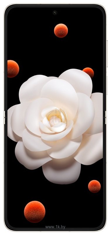 Фотографии HONOR Magic V Flip 12/1024GB (китайская версия) Фотографии HONOR Magic V Flip 12/1024GB (китайская версия)