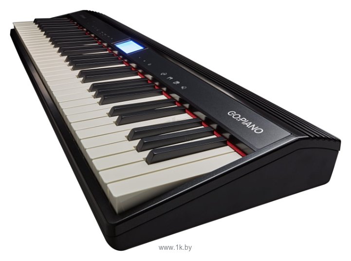 Фотографии Roland GO:PIANO GO-61P