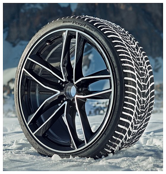 Фотографии Hankook Winter i*cept evo3 W330 245/35 R20 95W XL