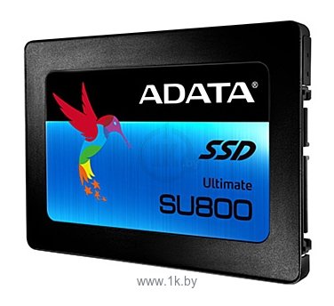 Фотографии ADATA Ultimate SU800 512GB