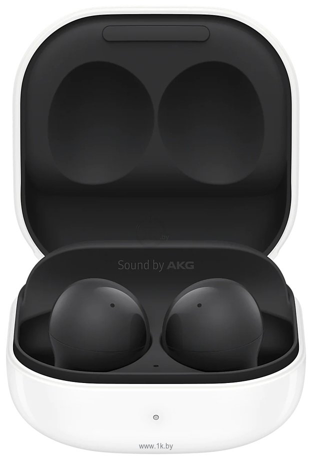 Фотографии Samsung Galaxy Buds 2 (графитовый)