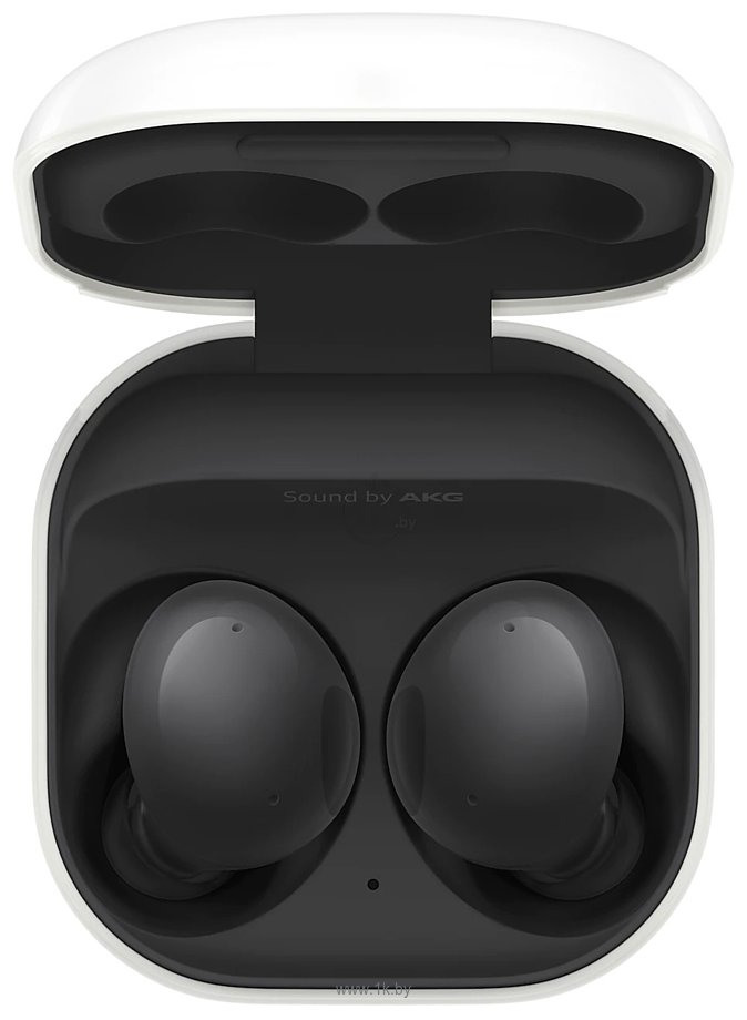 Фотографии Samsung Galaxy Buds 2 (графитовый)