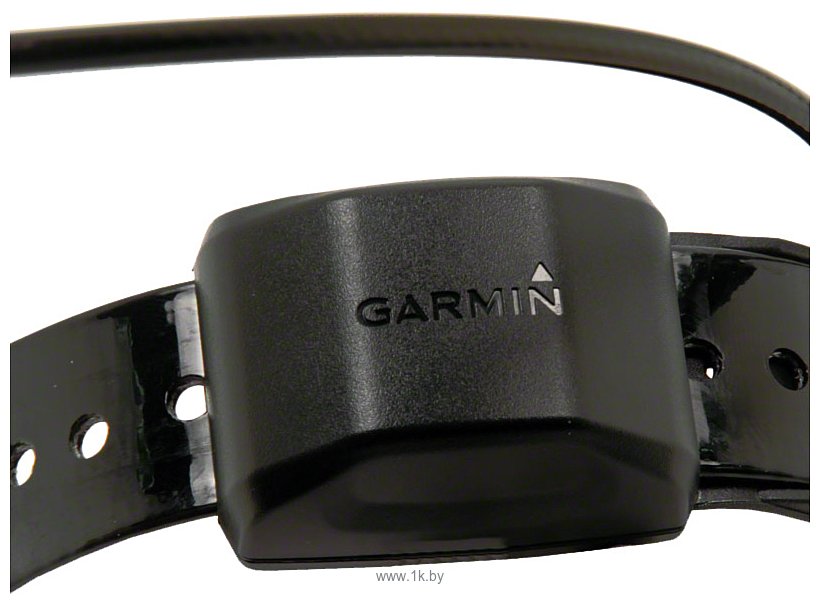 Фотографии Garmin Alpha 100 с ошейником T5