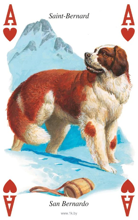 Фотографии Lo Scarabeo Cani Фотографии Lo Scarabeo Cani