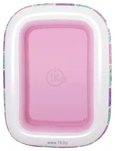 Фотографии Bestway Disney Princess 91056 (201х150х51)