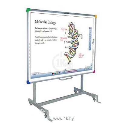 Фотографии Interwrite DualBoard 1279