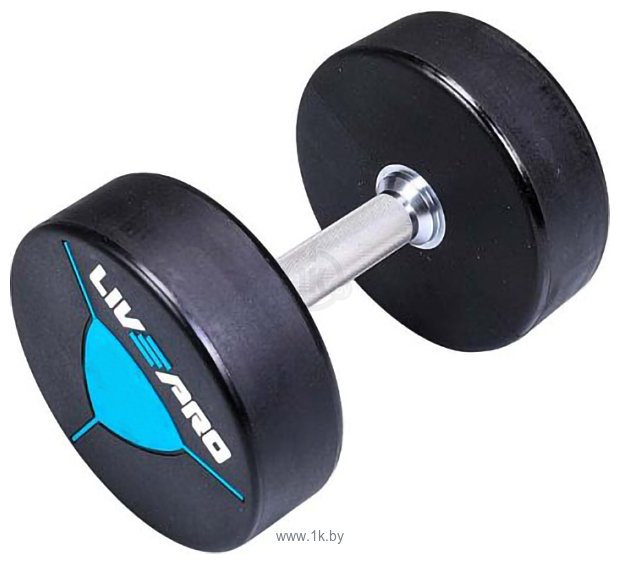 Фотографии Livepro Premium Urethane Dumbbells LP8000 2x40 кг