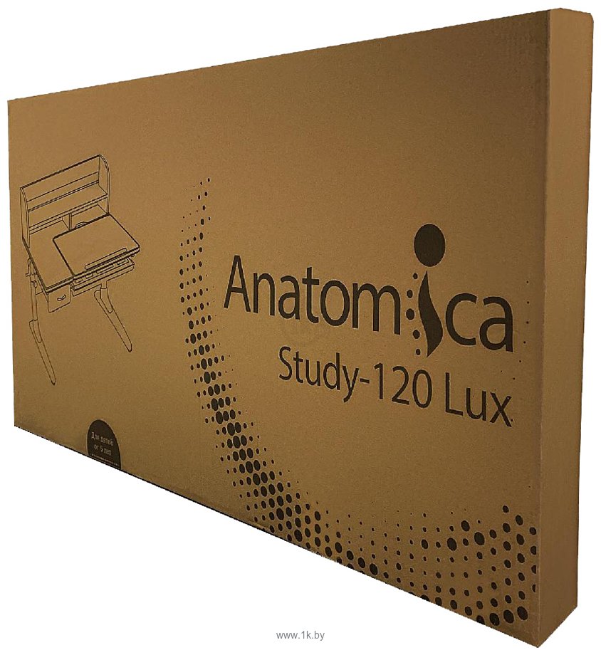 Фотографии Anatomica Study-120 Lux (клен/серый)