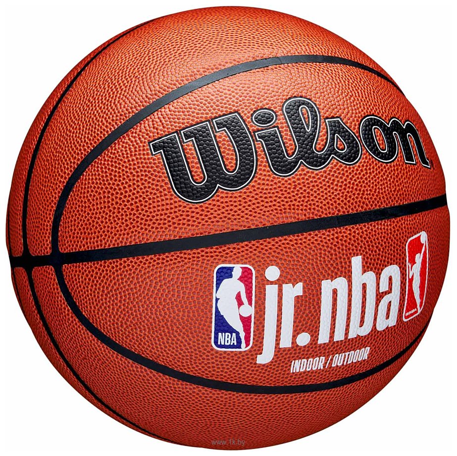 Фотографии Wilson JR.NBA Fam Logo Indoor Outdoor WZ2009801XB7 (размер 7)