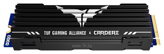 Фотографии Team Cardea II TUF Gaming Alliance 1TB TM8FPB001T0C310