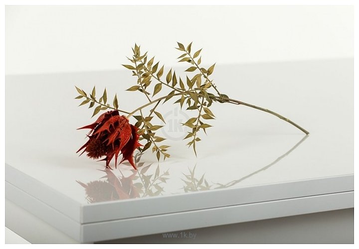 Фотографии Levmar Slide GL (белый глянец)