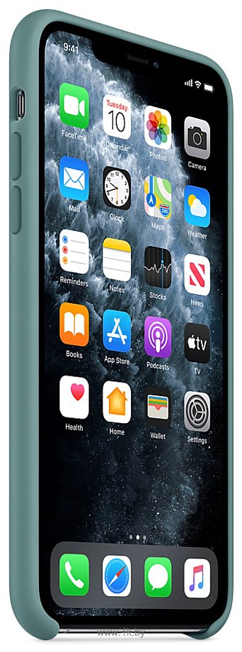 Фотографии Apple Silicone Case для iPhone 11 Pro Max (дикий кактус)