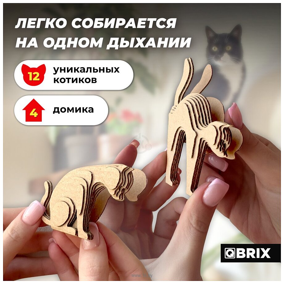 Фотографии QBRIX Город котиков 3D 20092