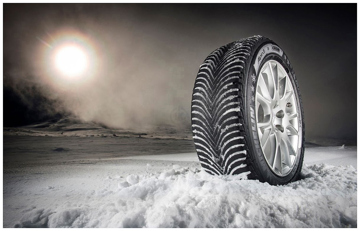 Фотографии Michelin Alpin 5 295/35 R20 105W