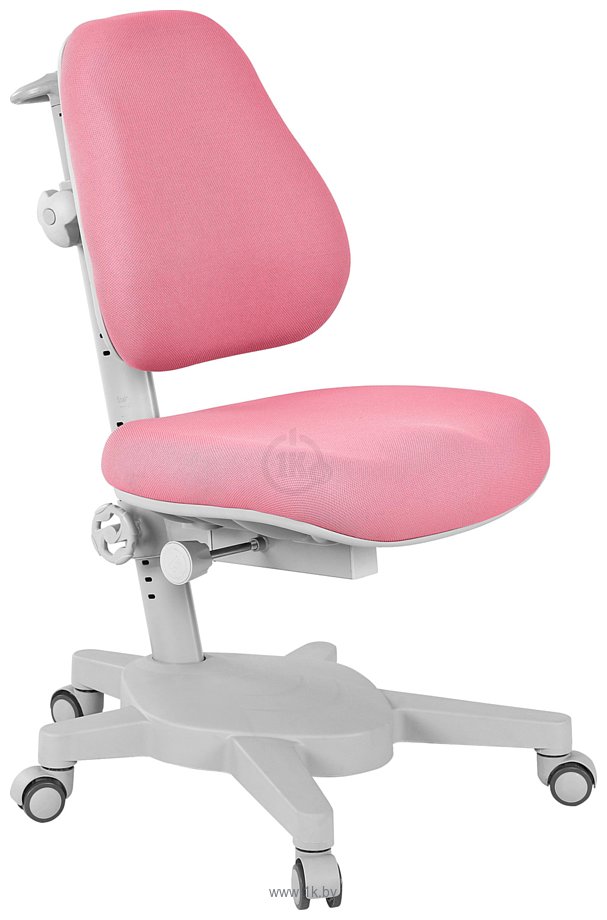 Фотографии Anatomica Study-100 Lux + органайзер с розовый креслом Armata (белый/серый)