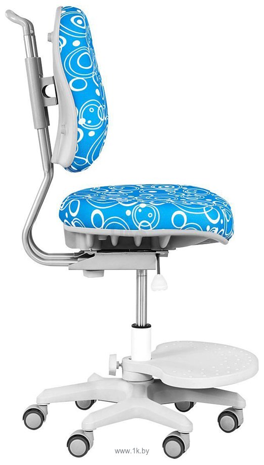 Фотографии Anatomica Study-100 Lux + органайзер с синим креслом Ragenta с пузырями (клен/серый)