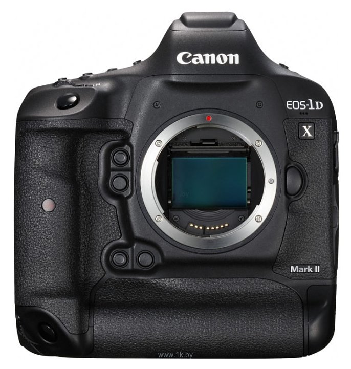 Фотографии Canon EOS 1D X Mark II Body