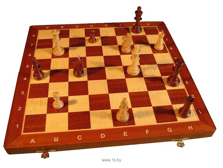 Фотографии Wegiel Chess Tournament No 5