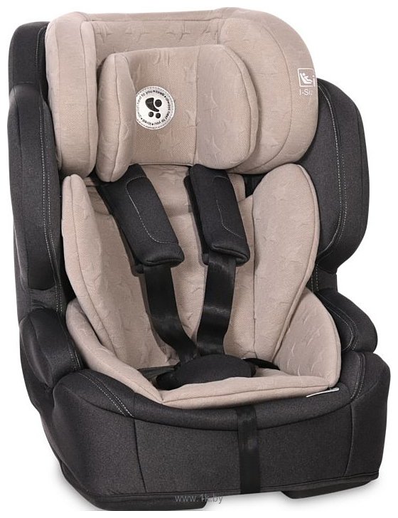 Фотографии Lorelli Andromeda i-Size Isofix