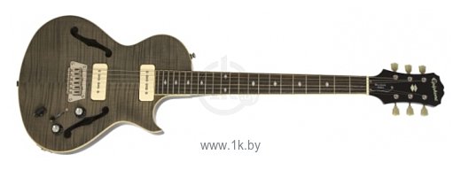 Фотографии Epiphone Blueshawk Deluxe