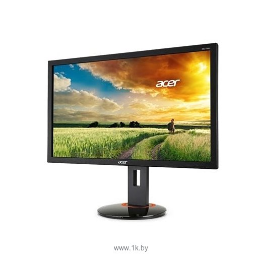 Фотографии Acer XF250QAbmiidprzx