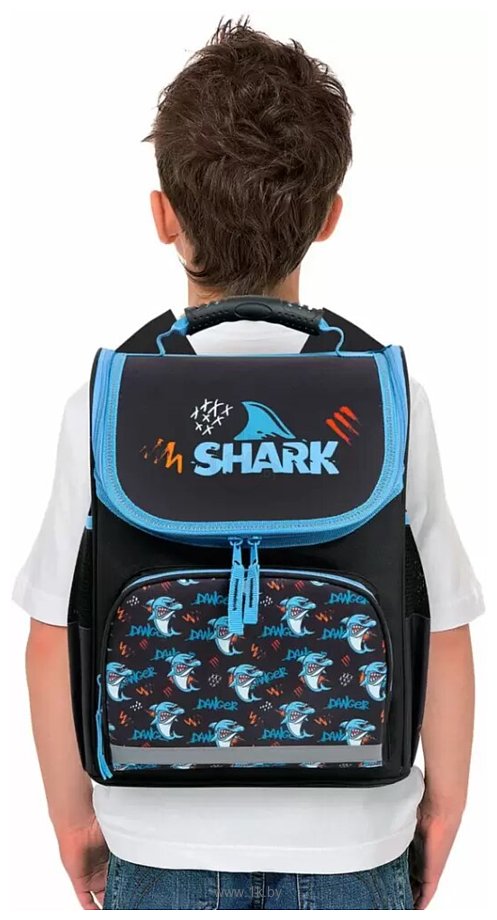 Фотографии Пифагор Basic. Angry Shark 272044