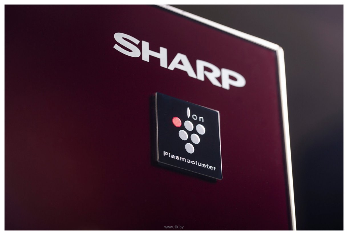 Фотографии Sharp SJ-GX98PRD