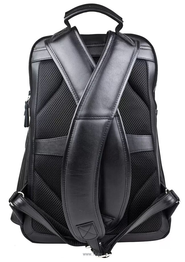 Фотографии Carlo Gattini Premium Bertario 3102-51 (черный)