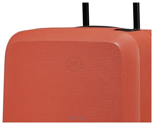 Фотографии Samsonite Magnum Eco Maple Orange 75 см