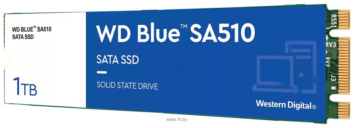 Фотографии Western Digital Blue SA510 1TB WDS100T3B0B