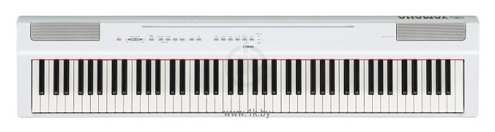 Фотографии YAMAHA P-125