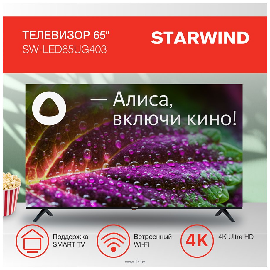 Фотографии StarWind SW-LED65UG403